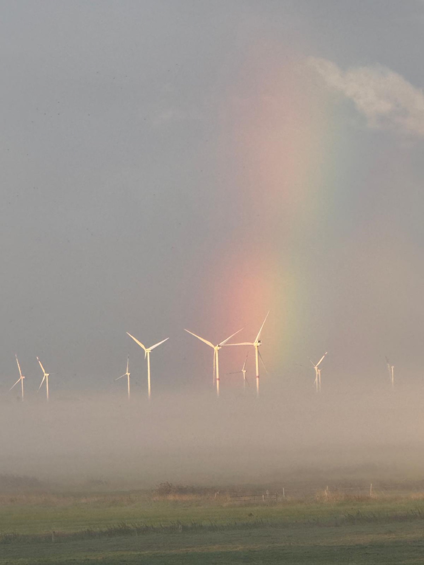 Regenbogen über der Marsch mit Windrädern im Morgennebel